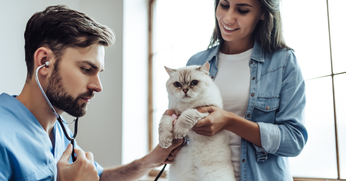 Badanie danych o częstotliwości wizyt u specjalistów: co warto wiedzieć?